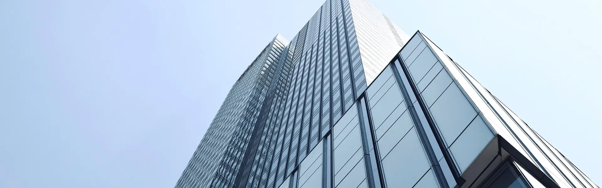 Company Profile