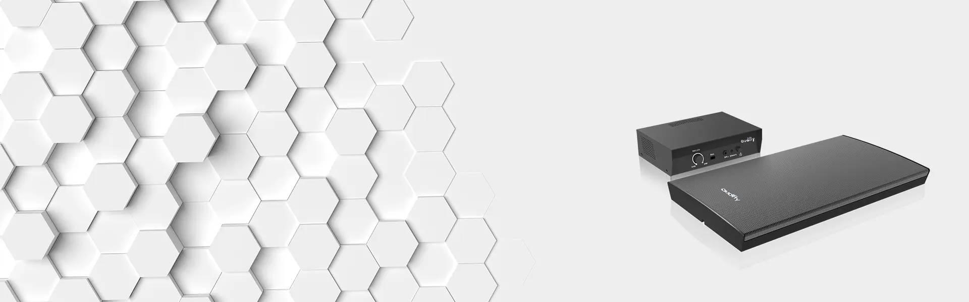 Directional Wall Mounted Speaker