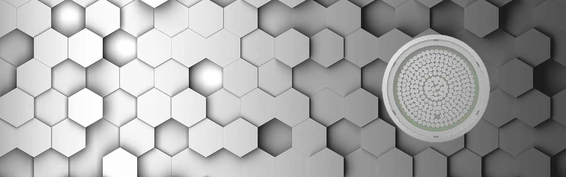 Ceiling Mounted Directional Speaker
