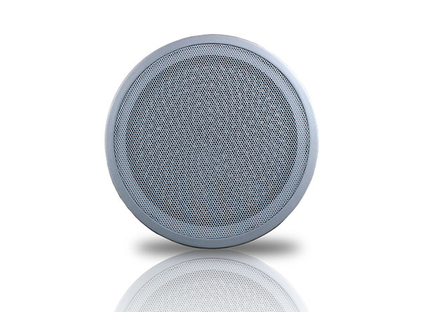 Ceiling Mounted Directional Speakers 