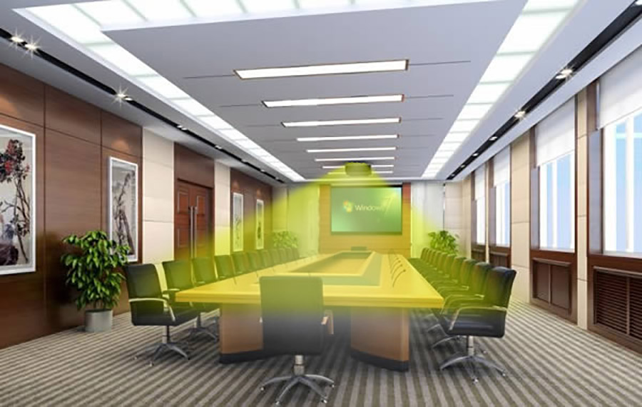 Directional Speakers for Video Conference