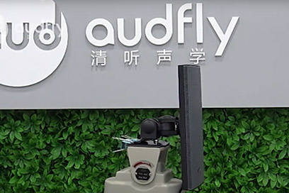 Audfly Directional Wall Mounted Speaker Display