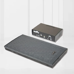 Directional Wall Mounted Speaker