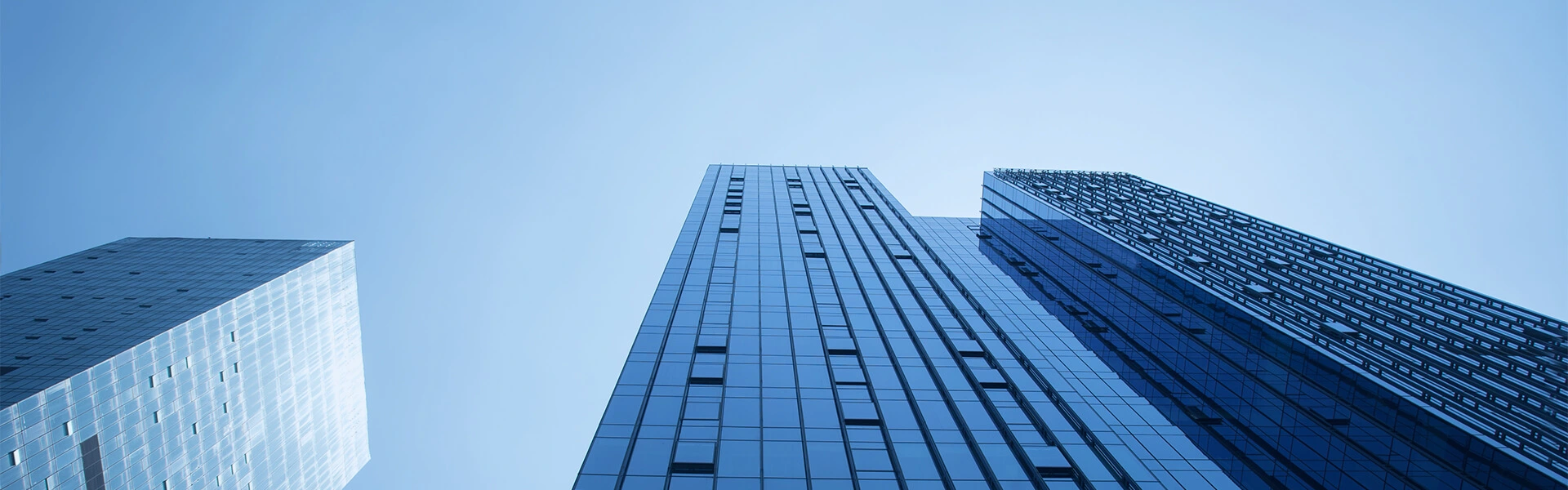 Company Profile