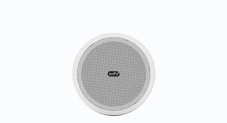 Ceiling Mounted Directional Speaker