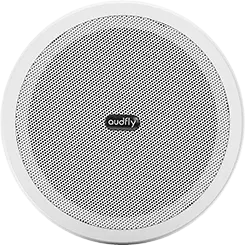 Ceiling Mounted Directional Speaker