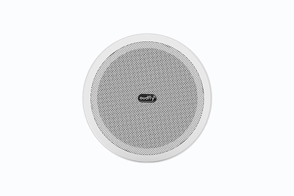 Ceiling Mounted Directional Speaker