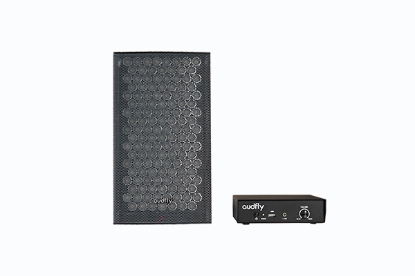 Wall Mounted Directional Speakers