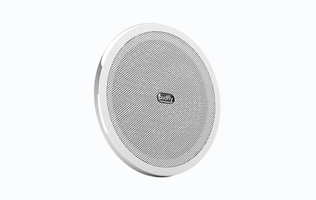 Audfly R1 Ceiling Mounted Sound Beam Speaker