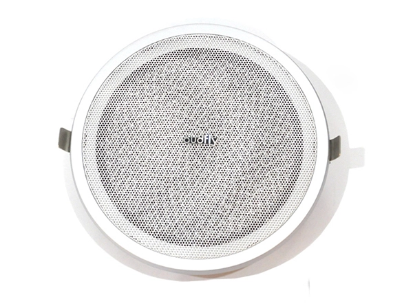 Ceiling Mounted Directional Speakers 