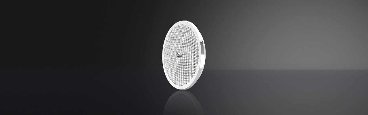 Ceiling Installation Type-Fits Tightly To The Ceiling, Exquisite And Beautiful